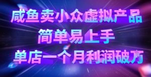 咸鱼卖小众虚拟产品,简单易上手,单店一个月利润破W-淘金日记