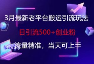 3月最新老平台搬运引流玩法，日引流500+创业粉，流量精准，当天可上手-淘金日记