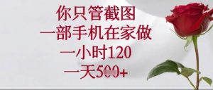 你只管截图，一部手机在家操作，一小时120.一天5张【揭秘】-淘金日记