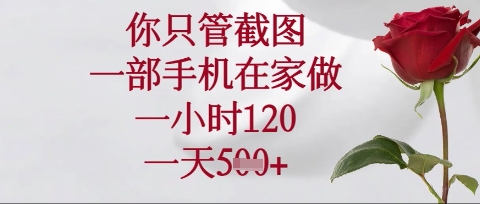 你只管截图,一部手机在家操作,一小时120.一天5张【揭秘】-淘金日记