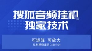 【搜狐音频挂G】独家技术，可矩阵可放大，红利期稳定月入8k【揭秘】-淘金日记