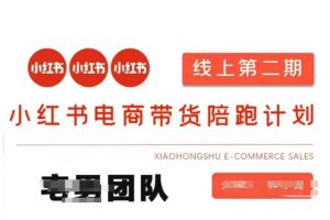 小红书电商带货课2期，月利润20个的小红书电商的有货源，无货源，虚拟产品，付费投流等整套玩法-淘金日记