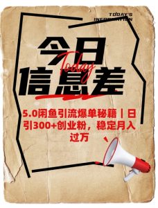 5.0闲鱼引流爆单秘籍,日引300+创业粉,稳定月入过W-淘金日记