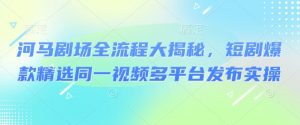 河马剧场全流程大揭秘，短剧爆款精选同一视频多平台发布实操-淘金日记
