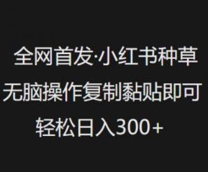 全网首发,小红书种草无脑操作,复制黏贴即可,轻松日入3张-淘金日记