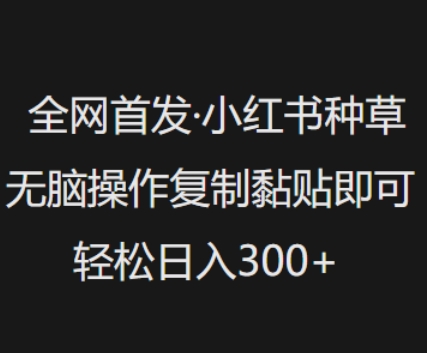 全网首发，小红书种草无脑操作，复制黏贴即可，轻松日入3张-淘金日记