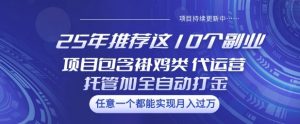 25年推荐这10个副业项目包含褂鸡类、代运营托管类、全自动打金类【揭秘】-淘金日记