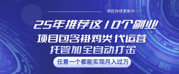 25年推荐这10个副业项目包含褂鸡类、代运营托管类、全自动打金类【揭秘】-淘金日记