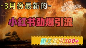 小红书超劲爆引流手段，图文日引300+轻松变现1W-淘金日记