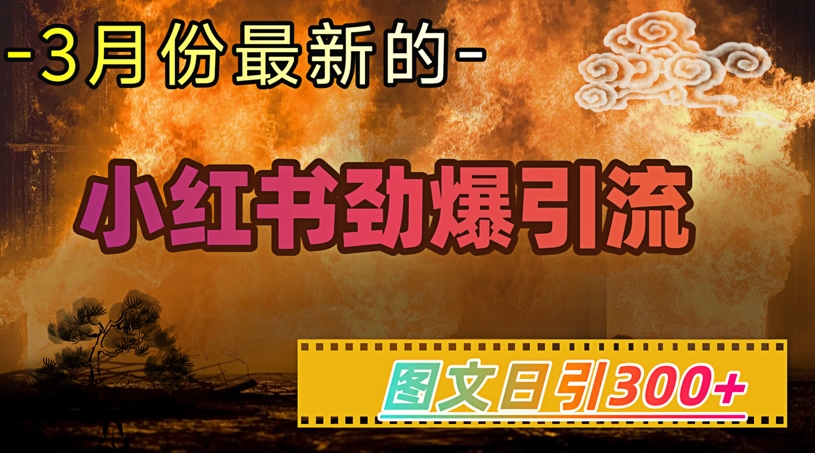 小红书超劲爆引流手段,图文日引300+轻松变现1W-淘金日记