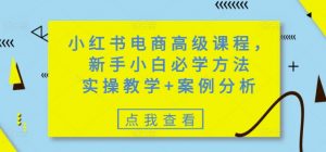 小红书电商高级课程,新手小白必学方法,实操教学+案例分析-淘金日记
