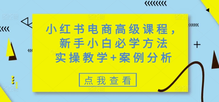 小红书电商高级课程,新手小白必学方法,实操教学+案例分析-淘金日记