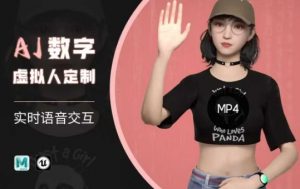 Ai数字人虚拟(智能体)实时语音交互特训营，​自行定制超写实角色AI数字人交互技术-淘金日记