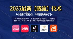 2025最新截流技术,工作室实操迭代打法,日轻松引粉300+,抖音+小红书+B站+视频号流量实操全流程-淘金日记
