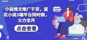 小说推文推广干货，蛋花小说3端平台同时做，火力全开-淘金日记