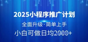 2025小程序推广计划,全面升级,简单上手,日均多张【揭秘】-淘金日记