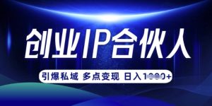 云帆·创业ip合伙人打造3.0,从0到1教你做网创,实现月入过W-淘金日记