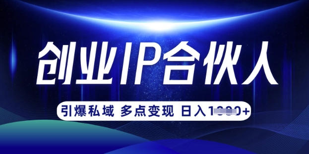 云帆·创业ip合伙人打造3.0,从0到1教你做网创,实现月入过W-淘金日记