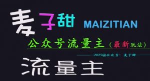 麦子甜2025公众号流量主全网最新玩法核心，手把手教学，成熟稳定，收益有保障-淘金日记