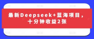 最新Deepseek+蓝海项目,十分钟收益2张-淘金日记