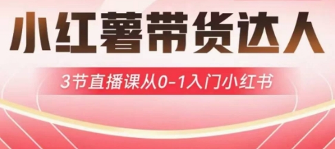 小红薯达人带货启航计划,3节直播课从0-1入门小红书-淘金日记