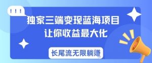 独家三端变现蓝海项目,让你收益最大化,长尾流无限躺挣-淘金日记