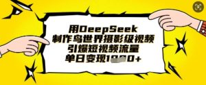 用DeepSeek制作鸟世界摄影级视频,引爆短视频流量,单日变现1k-淘金日记
