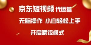 京东短视频代运营，全程喂饭，小白轻松上手【揭秘】-淘金日记