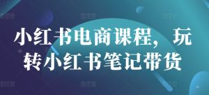 小红书电商课程,玩转小红书笔记带货-淘金日记