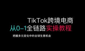 TikTok跨境电商从0-1全链路全方位实操教程,把握多元变化中的全球生意机会-淘金日记