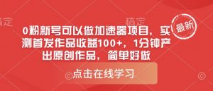 0粉新号可以做的加速器项目,实测首发作品收益100+,1分钟产出原创作品,简单好做-淘金日记