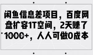 闲鱼信息差项目，百度网盘扩容1T空间，2天收益1k+，人人可做0成本-淘金日记