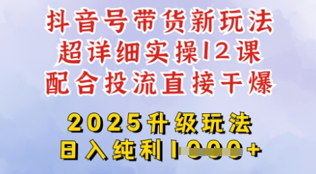 2025全新升级抖音带货玩法，一天纯利四位数，从剪辑到选品再到发布投流，超详细玩法揭秘-淘金日记
