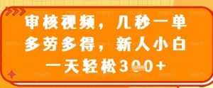 审核视频,几秒一单,多劳多得,新人小白一天轻松3张【揭秘】-淘金日记