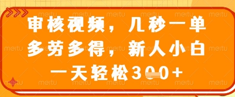 审核视频,几秒一单,多劳多得,新人小白一天轻松3张【揭秘】-淘金日记