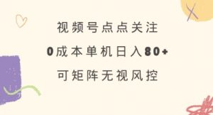视频号点点关注，0成本单号80+，可矩阵，绿色正规，长期稳定【揭秘】-淘金日记