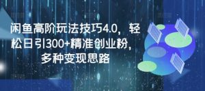 闲鱼高阶玩法技巧4.0,轻松日引300+精准创业粉,多种变现思路-淘金日记