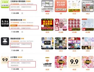 0成本虚拟项目实战手把手教你落地,单店月入5k-淘金日记