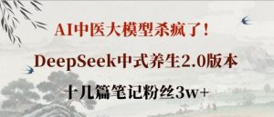 AI中医大模型杀疯了!DeepSeek中式养生2.0版本,十几篇笔记粉丝3w+-淘金日记