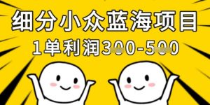 细分小众蓝海项目,一单利润3张,每月收入稳定过1w+-淘金日记
