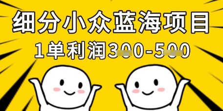 细分小众蓝海项目,一单利润3张,每月收入稳定过1w+-淘金日记