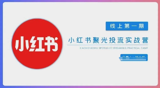 小红书聚光陪跑第一期,教你从0到1玩转小红书聚光投流,搭建小红书付费投流团队,更快的见到效果-淘金日记