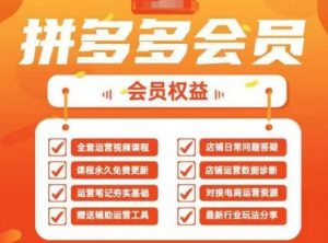 2025拼多多运营实战课,40节全流程教学,覆盖拼多多运营全链路-淘金日记