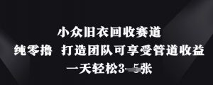 小众旧衣回收赛道,纯零撸 打造团队可享受管道收益,一天轻松3张-淘金日记