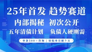2025年首次公开,真正的事业型赛道,客咨不断,单月轻松破W-淘金日记
