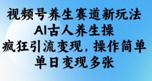 视频号养生赛道新玩法，AI古人养生操，疯狂引流变现，操作简单，单日变现多张-淘金日记