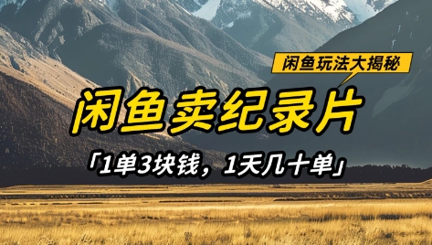 闲鱼卖纪录片1单3块钱,1天几十单,项目稳定有潜力-淘金日记