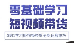 快手运营+高阶剪辑实战课,0到1学习短视频带货全新运营技巧-淘金日记