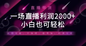半无人直播带货,一场利润数张,适合所有平台玩法,小白也可轻松-淘金日记