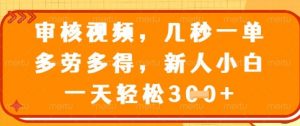 最新审核视频，几秒一单，多劳多得，新人小白一天轻松3张【揭秘】-淘金日记